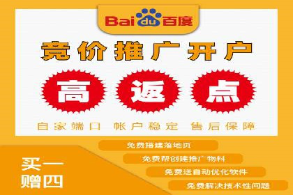 SEM托管公司案例：优化与增长