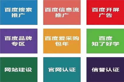 SEM竞价开户流程详解：成功案例解析